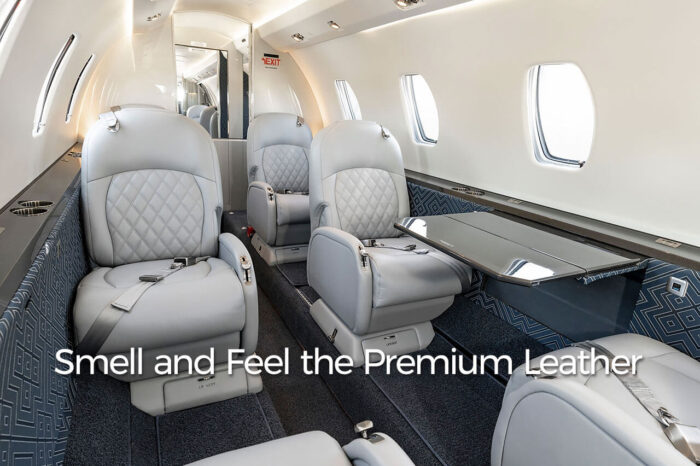 Premium leather